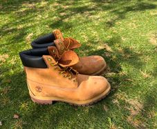 Timberland Premium 6 Inch Waterproof Boots