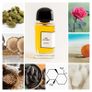 Nuit De Sable by BDK Parfums Image 2