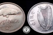 [#2360] - Ireland 1963 | Irish 2s | Irish Florin | Salmon | KM.15a | MS