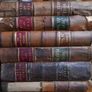 Antique Irish Law Times 1800s Image 2