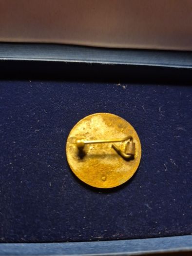Antique Edwardian Welsh "Teulu Duw Faith & Family" blue cross enamel badge.