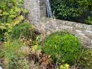 Garden maintenance Image 5