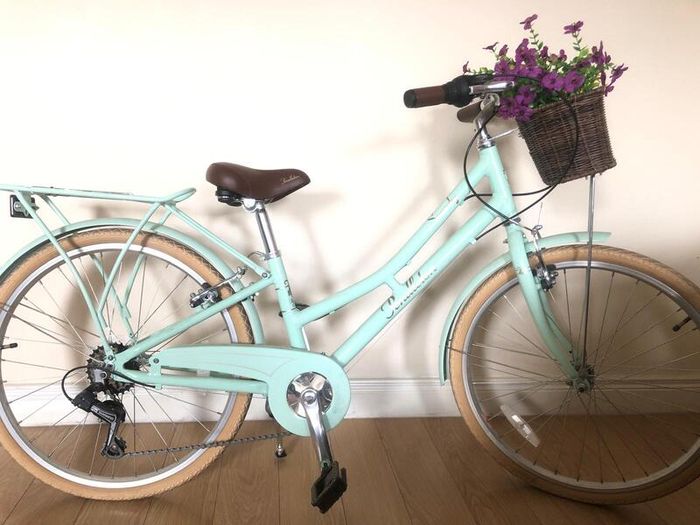 Pendleton Somerby Junior Bike - 24" Wheel