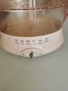 steamer food