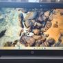 HP Business Laptop Image 6