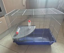 rat, chinchilla, hamster, guinea pig, rodent cage