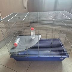 rat, chinchilla, hamster, guinea pig, rodent cage