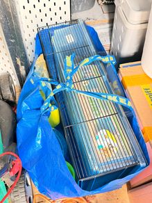 FREE: Small Pet / Hamster Cage & Starter Accessories Bundle