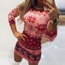 Velor Christmas dress Image 7