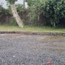 Old school railway sleepers for firewood FREE to take Image 3