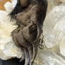 1 Soldered Flashy Blue Labradorite Crystal with Mummified Badger Paw Pendant Talisman Witchy Spiritual Amulet Image 5