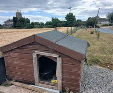 Large dog house and pen