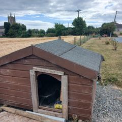 Large dog house and pen