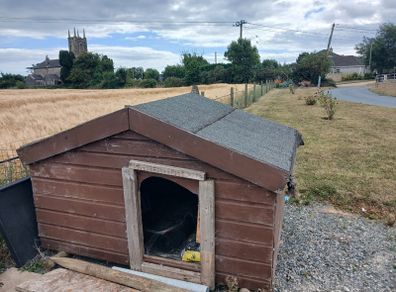 Large dog house and pen