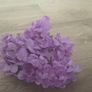 5 Artificial Hydrangeas Image 4