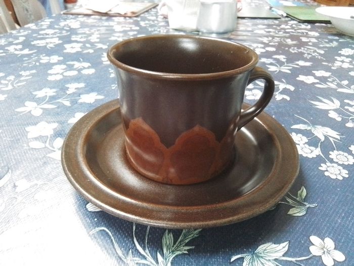 Royal Doulton "Marbella" Cup&Saucer