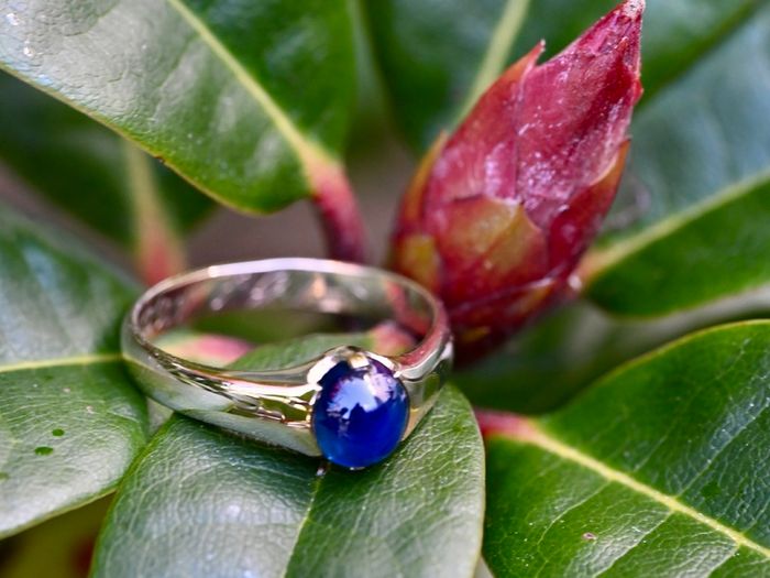 Antique Gents/Ladies Sapphire Solitaire Ring - 15ct circa 1887