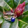 Antique Gents/Ladies Sapphire Solitaire Ring - 15ct circa 1887 Image 2