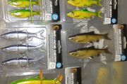 Savage Gear LB Roach Swim &amp; Jerk