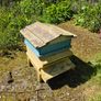 Bee hives Image 5