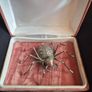 Vintage Irish Spider Brooch Image 5