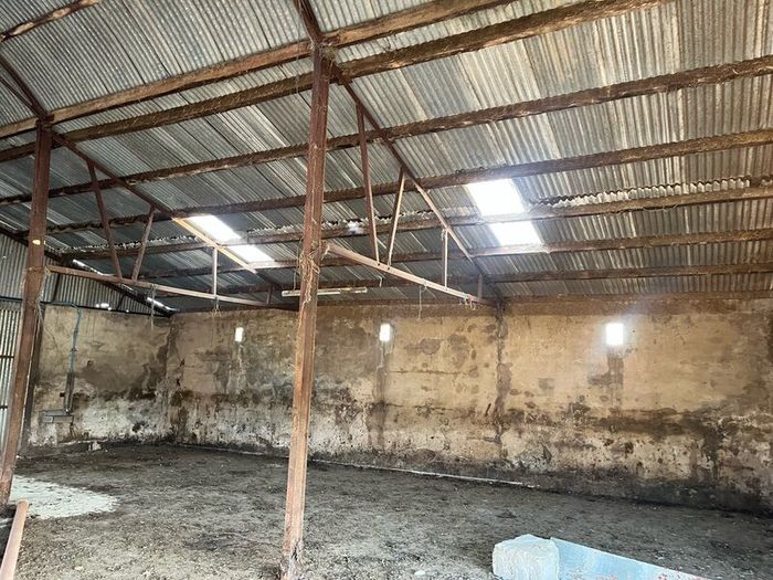 Cattle shed