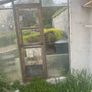 Lean-to Steel framed Greenhouse 3m x 1.5m Image 7