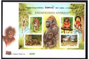 1998 Ireland Stampa Public Souvenir Animals Miniature Sheet with enlarged margin Overprinted for Stampa An Post First Day Cover FDC)
