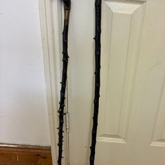 Blackthorn canes or walking sticks