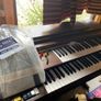 Organ (Yamaha A-55) Image 2