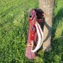 golf bag Image 2