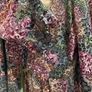 blouse 3/4 sleeve Per Una Image 4