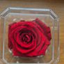 Various wedding/engagement gifts Image 5