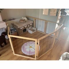 pet gate