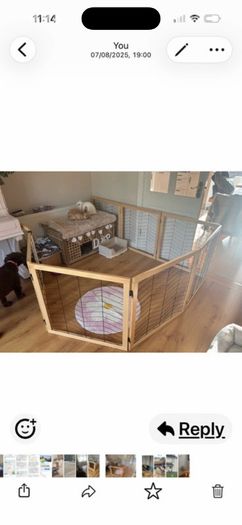 pet gate