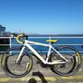 Carrera Road Bicycle (KIDS) Image 6