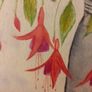 Watercolour. Image 6
