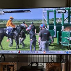 samsung 55" to