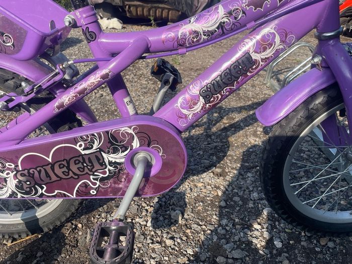 beautiful girls bike