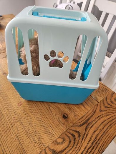my little live pets puppy