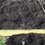 raised bed Image 2