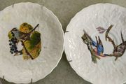 SET OF 2 HANGING PLATE Alfred Meakin Audubon Birds of America Teacup Saucer 5.75 Inches.