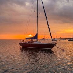 Golden Shamrock 30ft Sailing Yacht