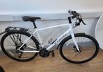 trek fx 2