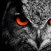 Howlett