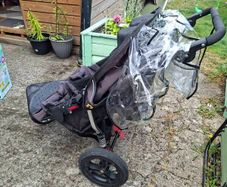 outNabout double buggy