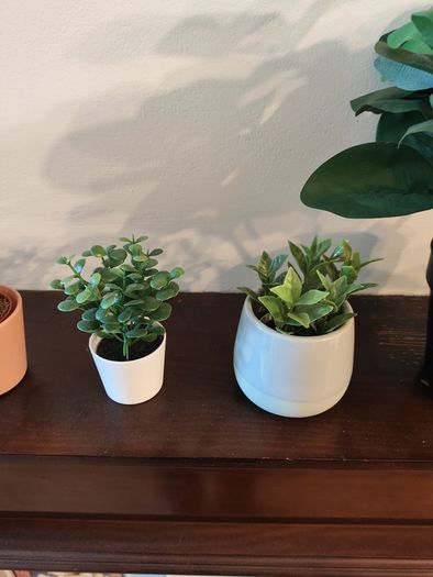 9 fake plants
