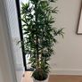 Artificial Bamboo Plant 180cm Image 2