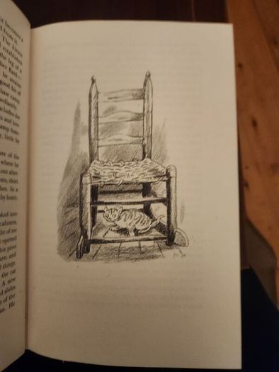 My Five Tigers. The Cats In My Life. By Lloyd Alexander. First Edition 1956.  Hardback With Dustjacket In Good Condition. 37.