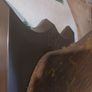 deers head Image 6